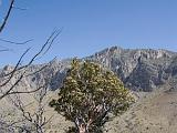 Guadelupe Peak : New Mexico